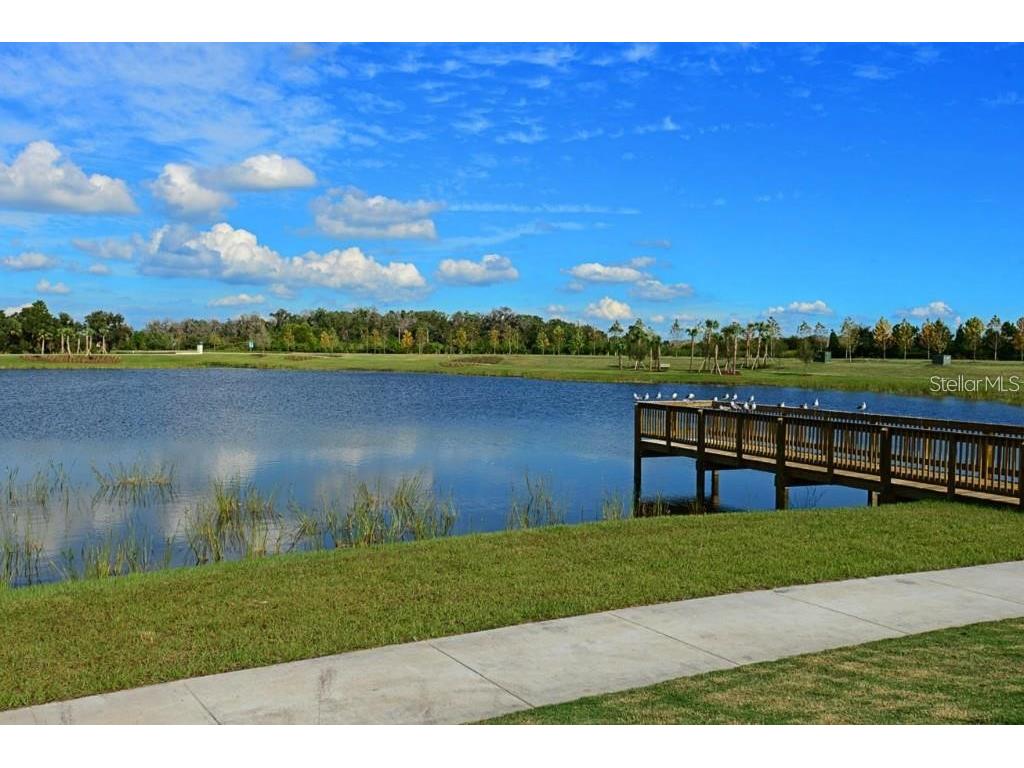 6411 Blue Sail Lane Apollo Beach FL 33572 TB8511249 image83