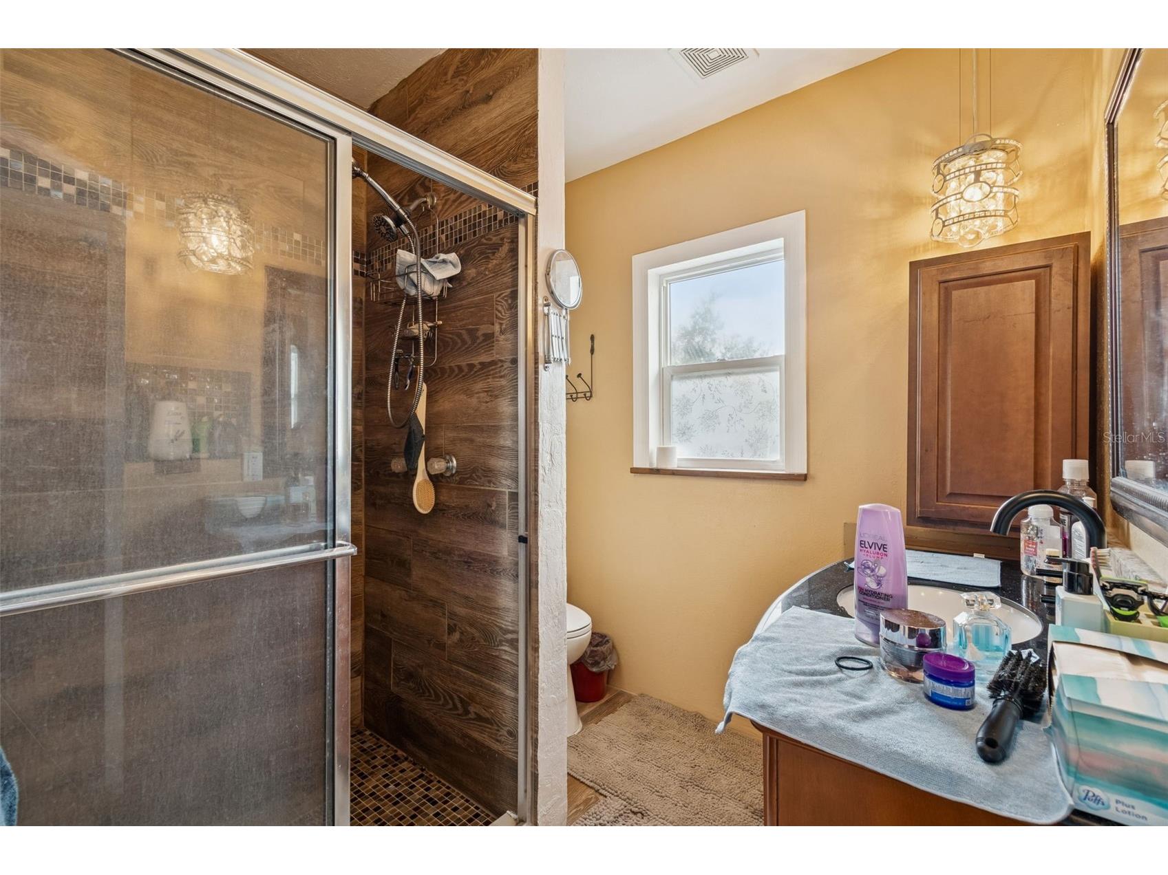 6411 Holloman Creek Court Plant City FL 33565 TB8476420 image48