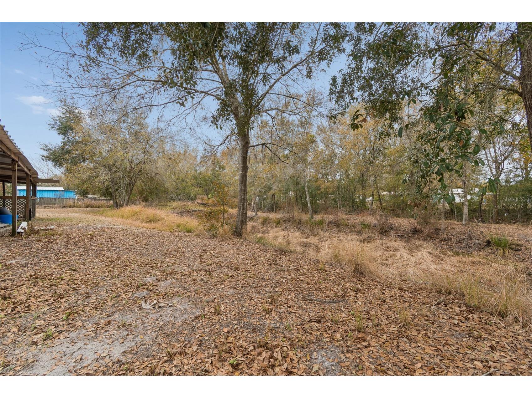 6411 Holloman Creek Court Plant City FL 33565 TB8476420 image68