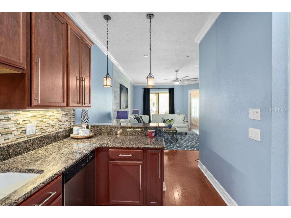 6411 Mayra Shores Lane Apollo Beach FL 33572 TB8352379 image16