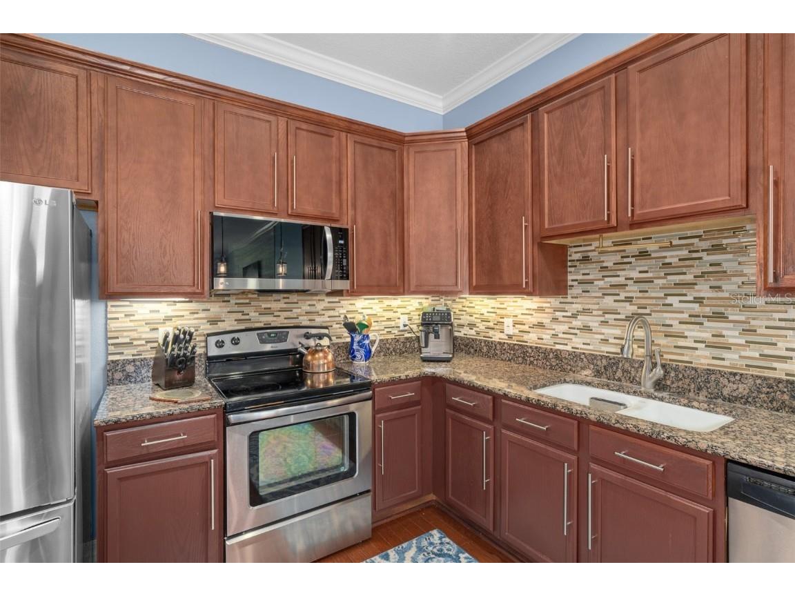 6411 Mayra Shores Lane Apollo Beach FL 33572 TB8352379 image18