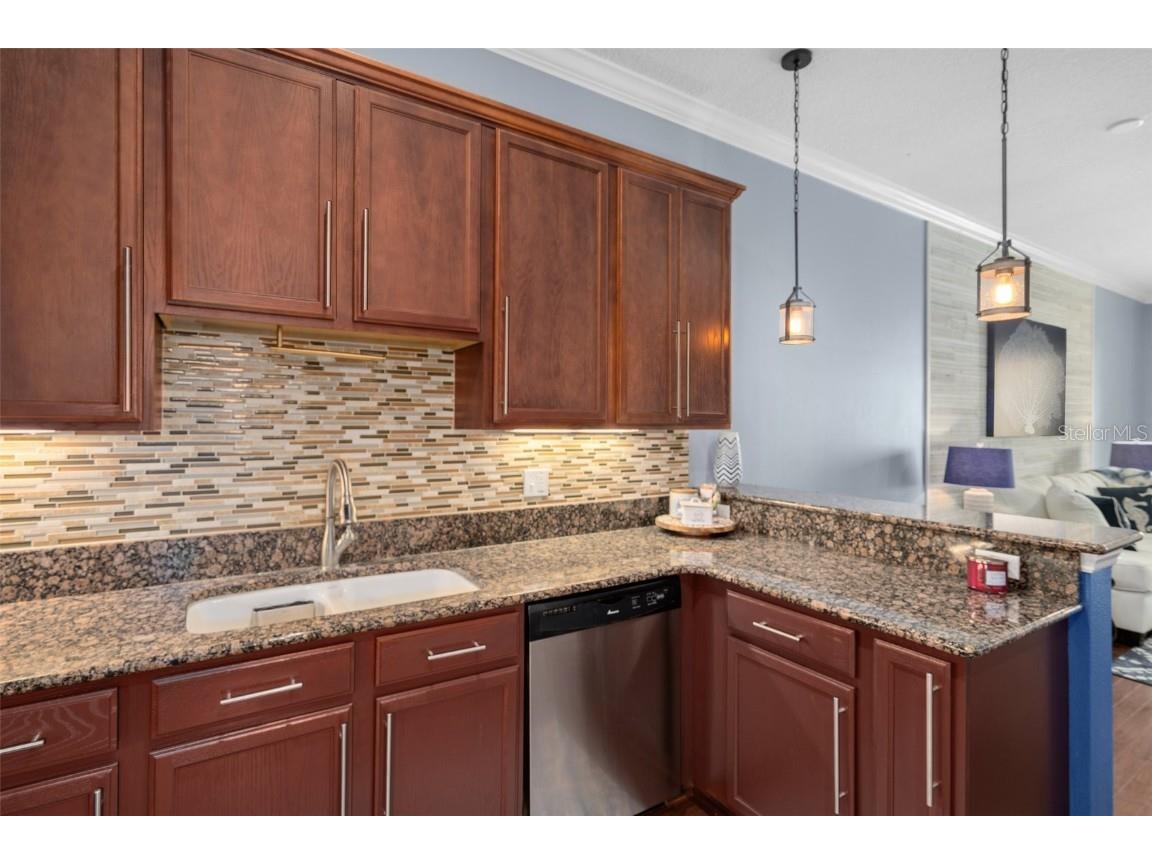 6411 Mayra Shores Lane Apollo Beach FL 33572 TB8352379 image19