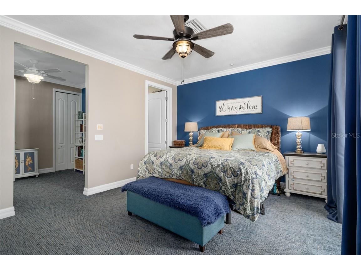 6411 Mayra Shores Lane Apollo Beach FL 33572 TB8352379 image20