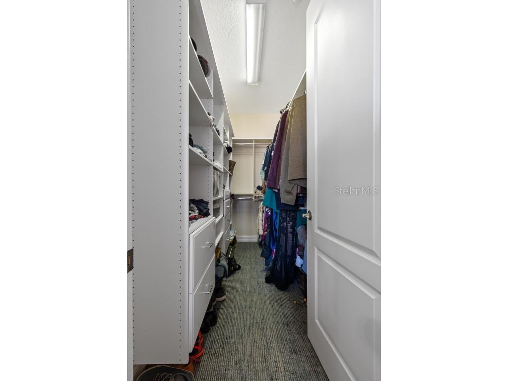 6411 Mayra Shores Lane Apollo Beach FL 33572 TB8352379 image24