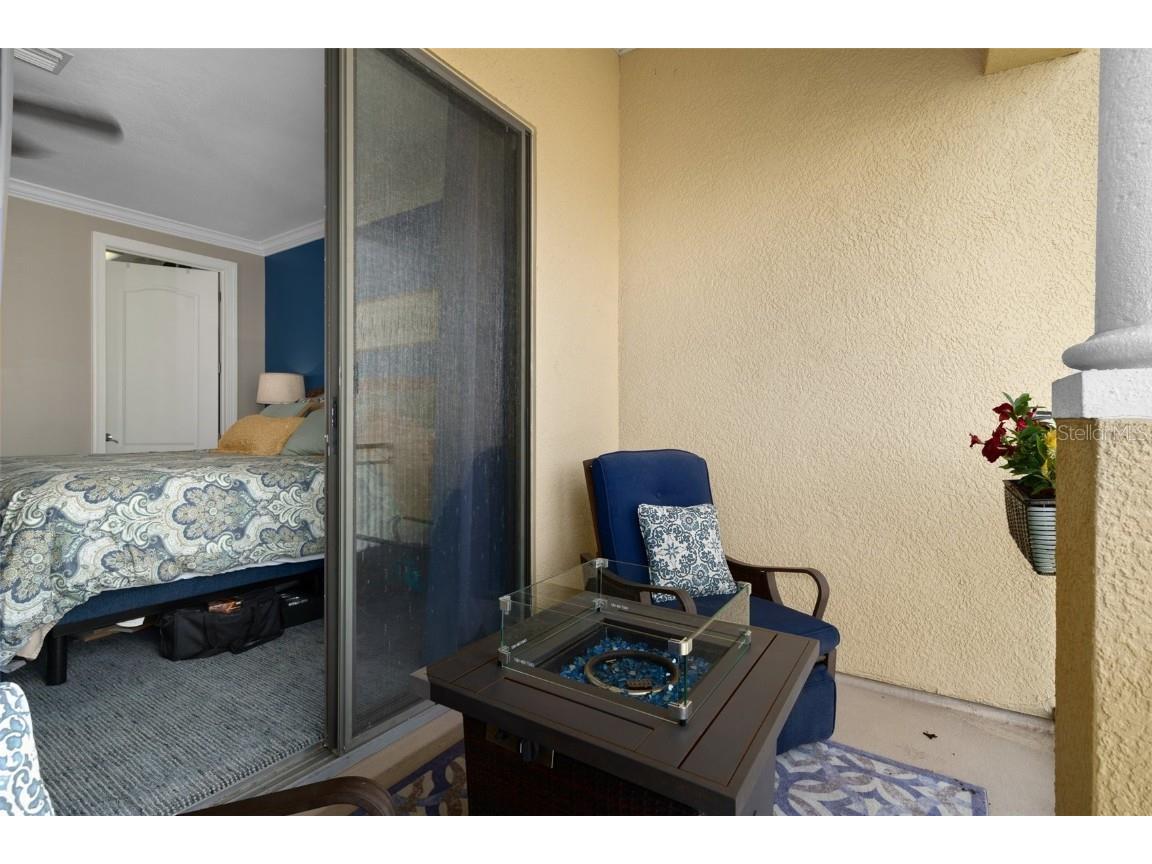 6411 Mayra Shores Lane Apollo Beach FL 33572 TB8352379 image29