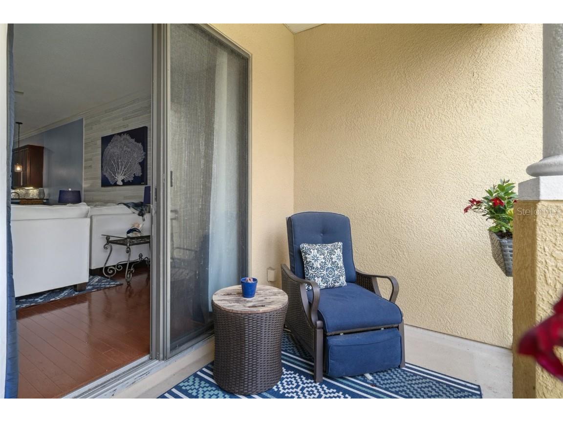 6411 Mayra Shores Lane Apollo Beach FL 33572 TB8352379 image48