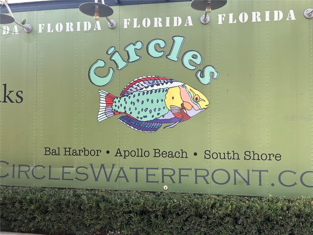 6411 Mayra Shores Lane Apollo Beach FL 33572 TB8352379 image77