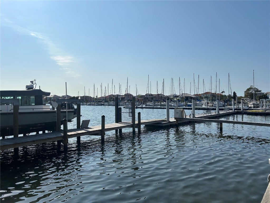 6411 Mayra Shores Lane Apollo Beach FL 33572 TB8352379 image78