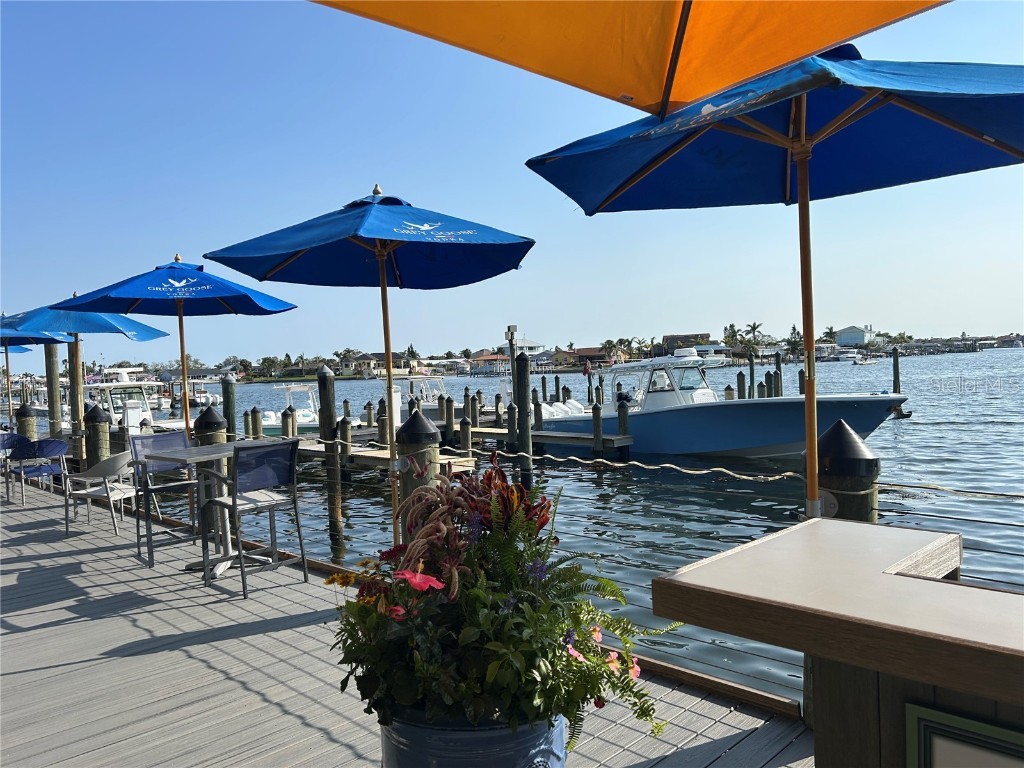 6411 Mayra Shores Lane Apollo Beach FL 33572 TB8352379 image79