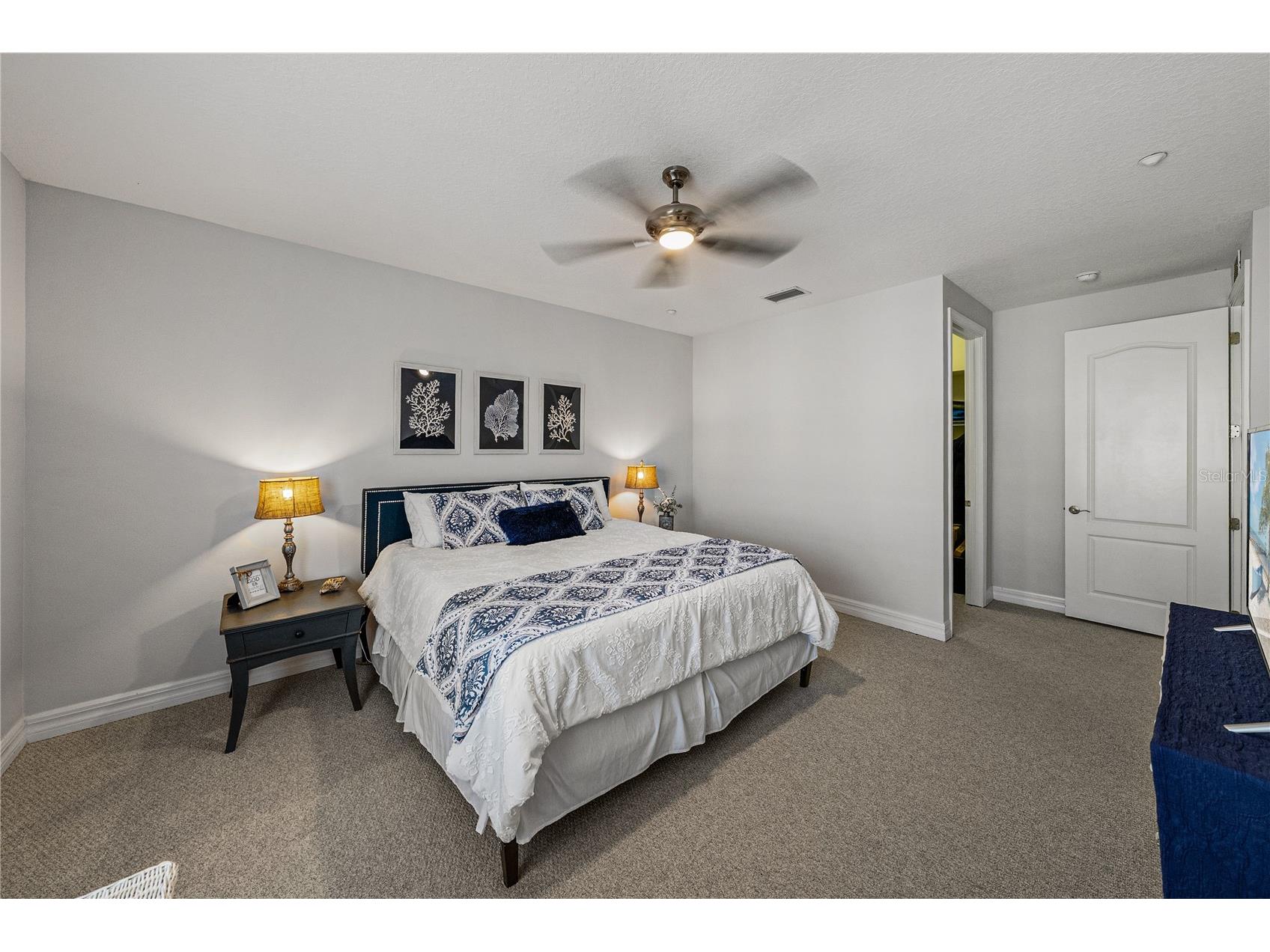 6411 Mayra Shores Lane Apollo Beach FL 33572 TB8473995 image44