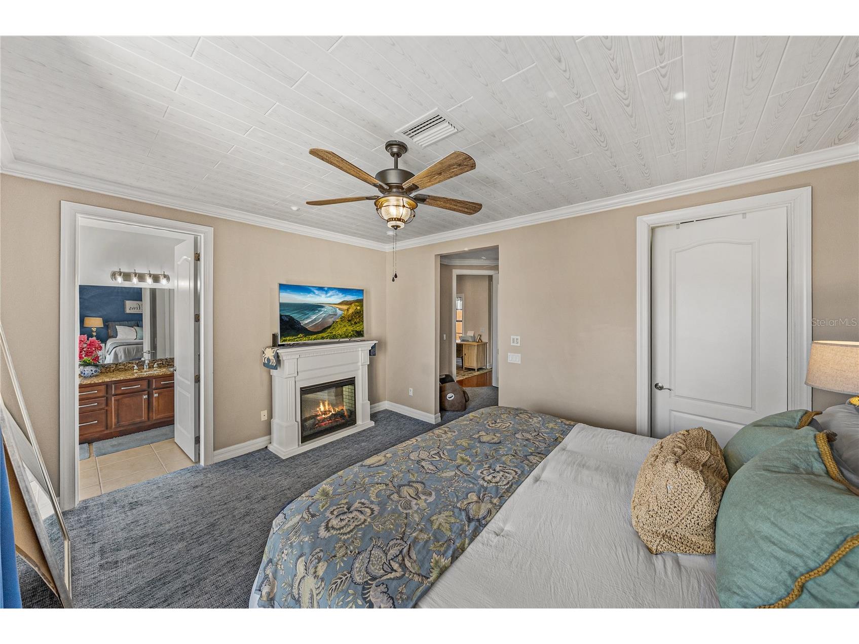 6411 Mayra Shores Lane Apollo Beach FL 33572 TB8473995 image51