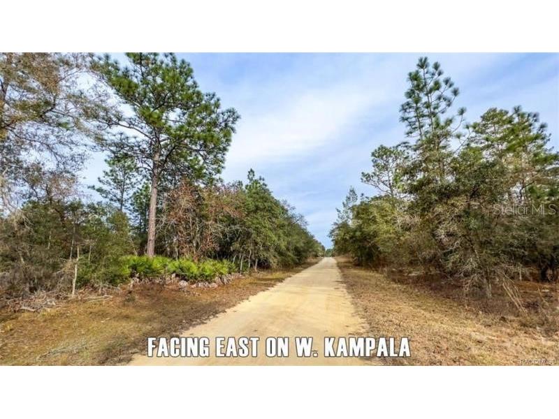 6411 W Seoul Lane Dunnellon FL 34433 J965582 image1