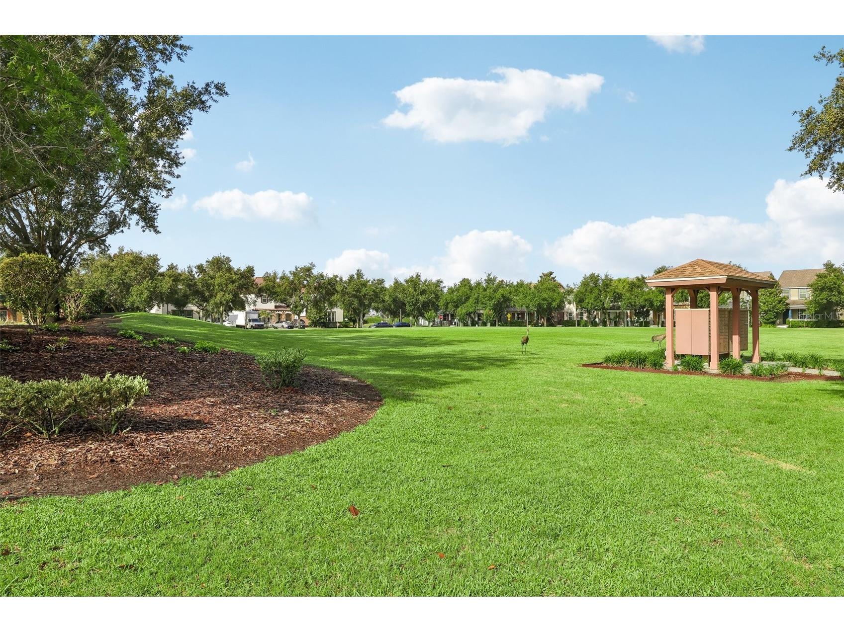 6412 Golden Dewdrop Trail Windermere FL 34786 O6412095 image35