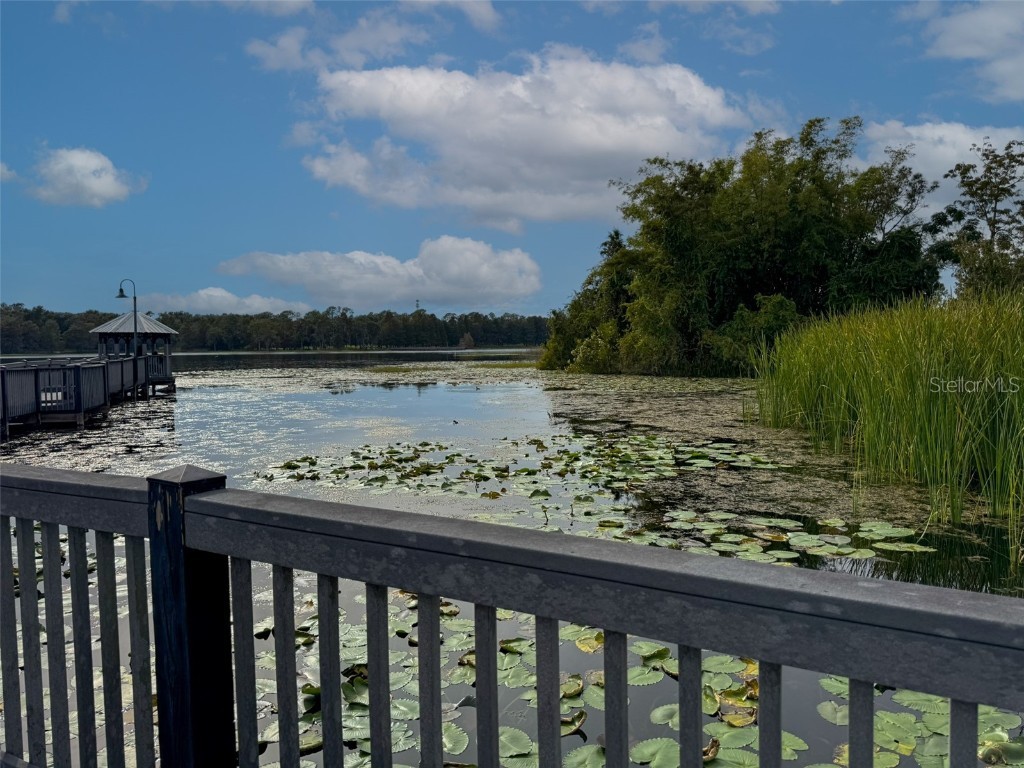 6413 Astor Village Avenue #203 Orlando FL 32835 - TURKEY LAKE O6360656 image30