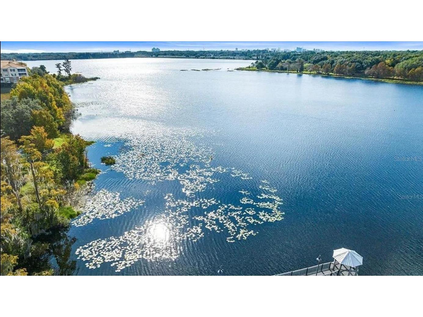 6413 Astor Village Avenue #216 Orlando FL 32835 S5139979 image38