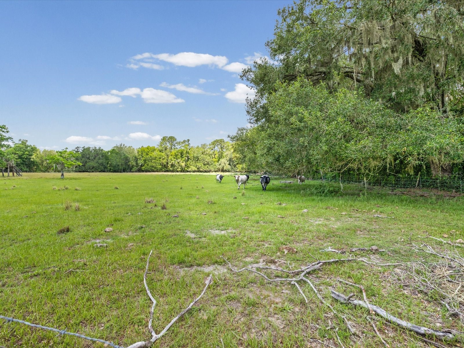 6413 Emerson Road Brooksville FL 34601 W7887142 image48