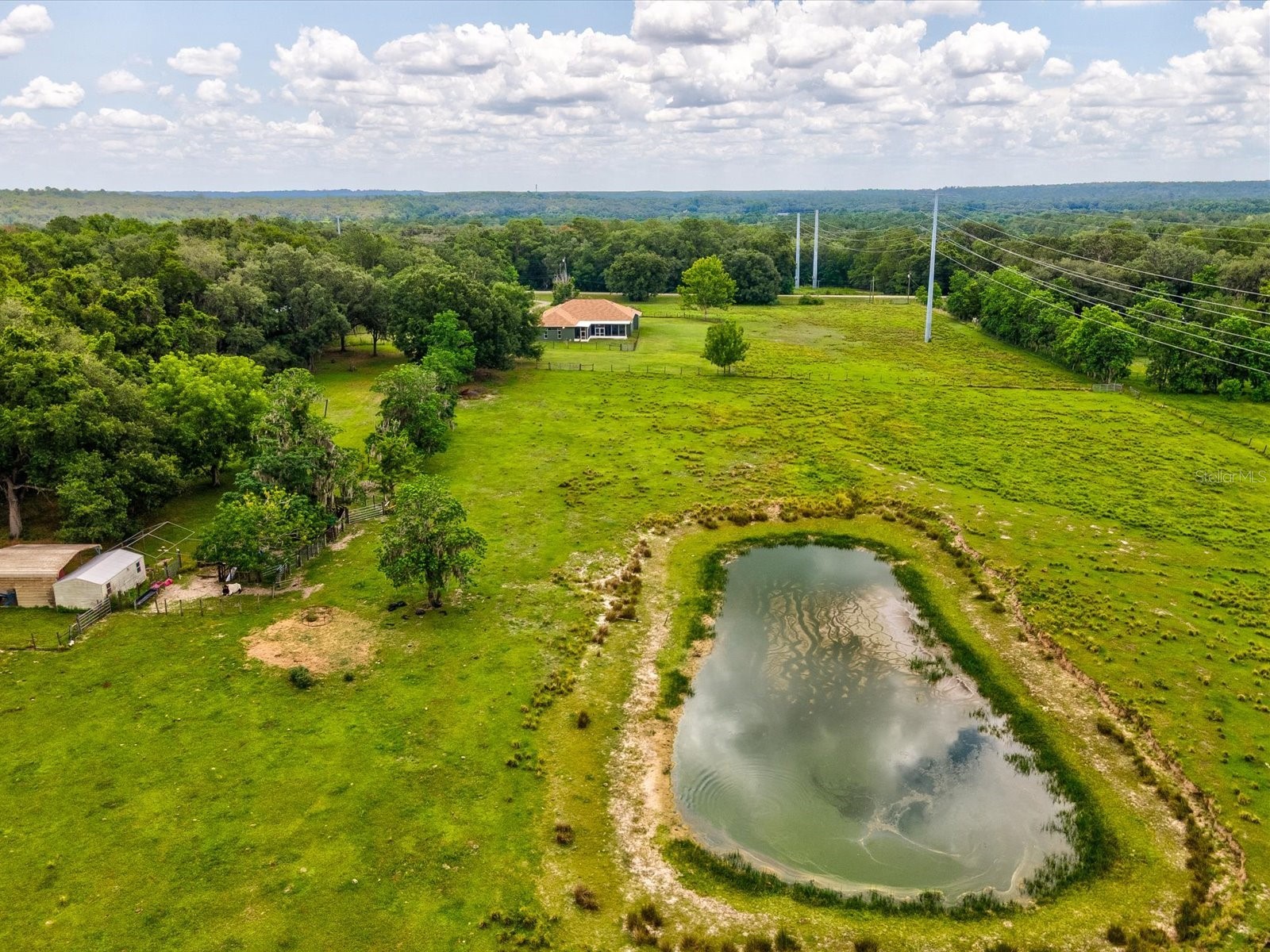 6413 Emerson Road Brooksville FL 34601 W7887142 image56
