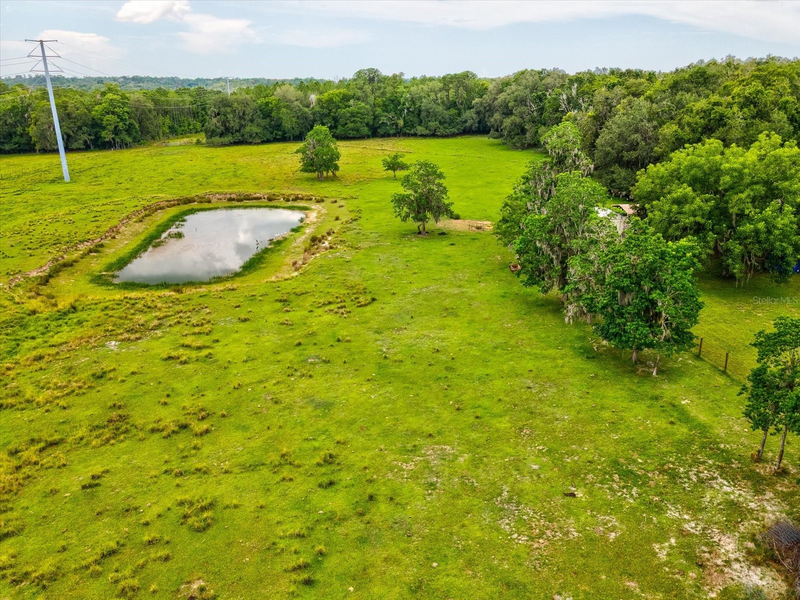 6413 Emerson Road Brooksville FL 34601 W7887142 image57