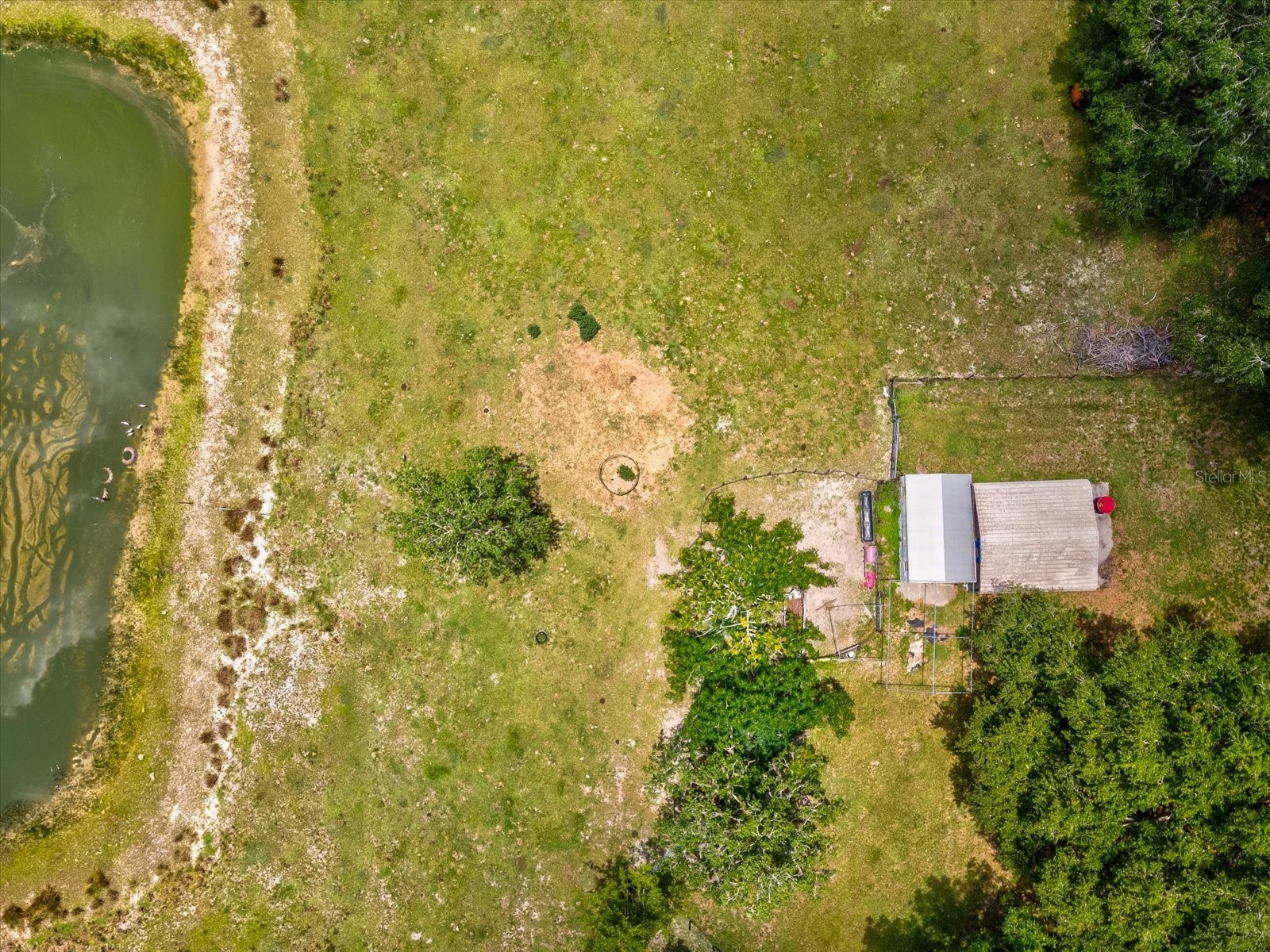 6413 Emerson Road Brooksville FL 34601 W7887142 image59