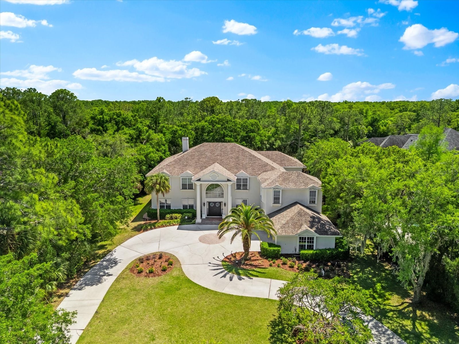 6413 Maclaurin Drive Tampa FL 33647 TB8481237 image2