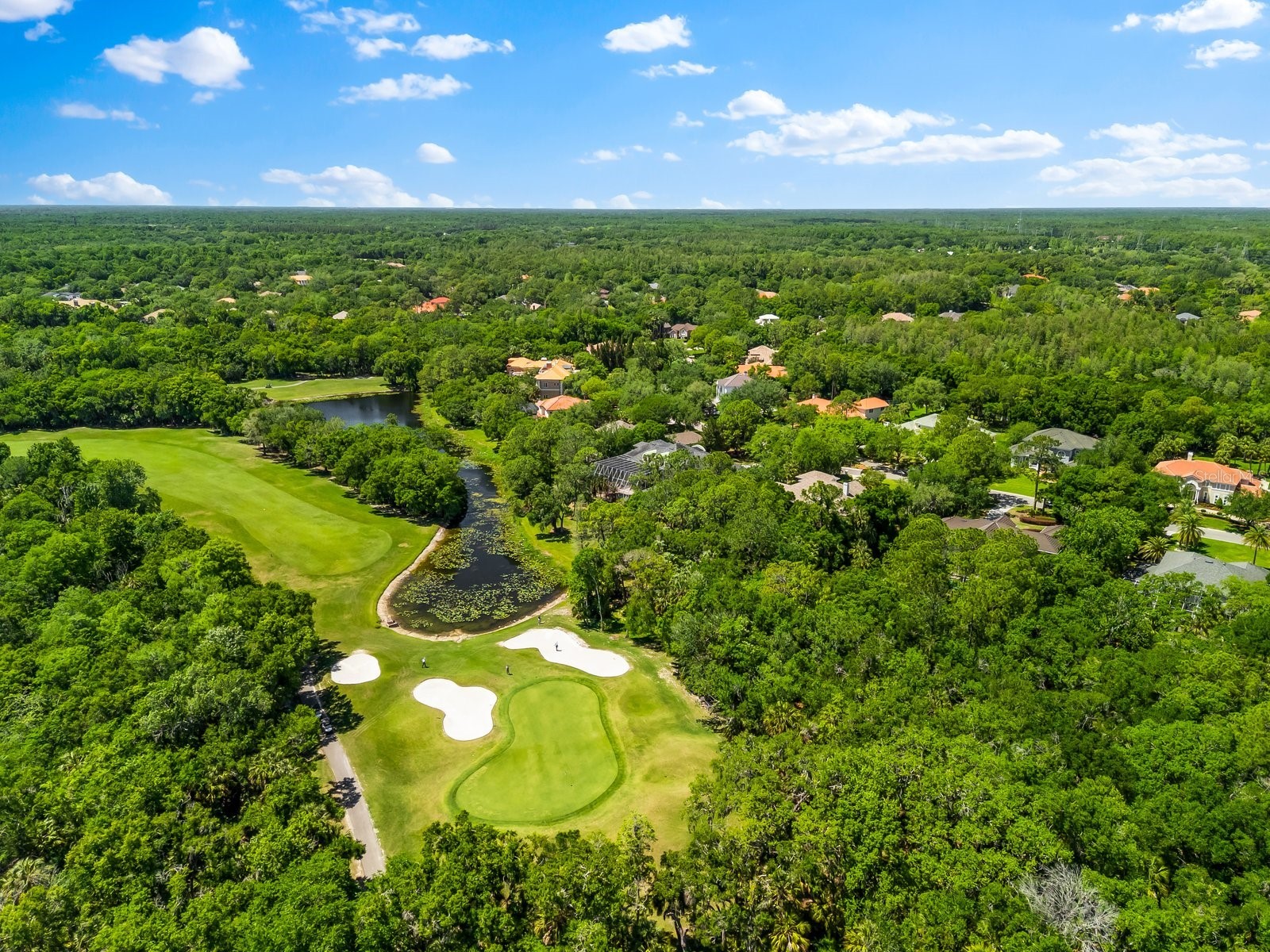 6413 Maclaurin Drive Tampa FL 33647 TB8481237 image64