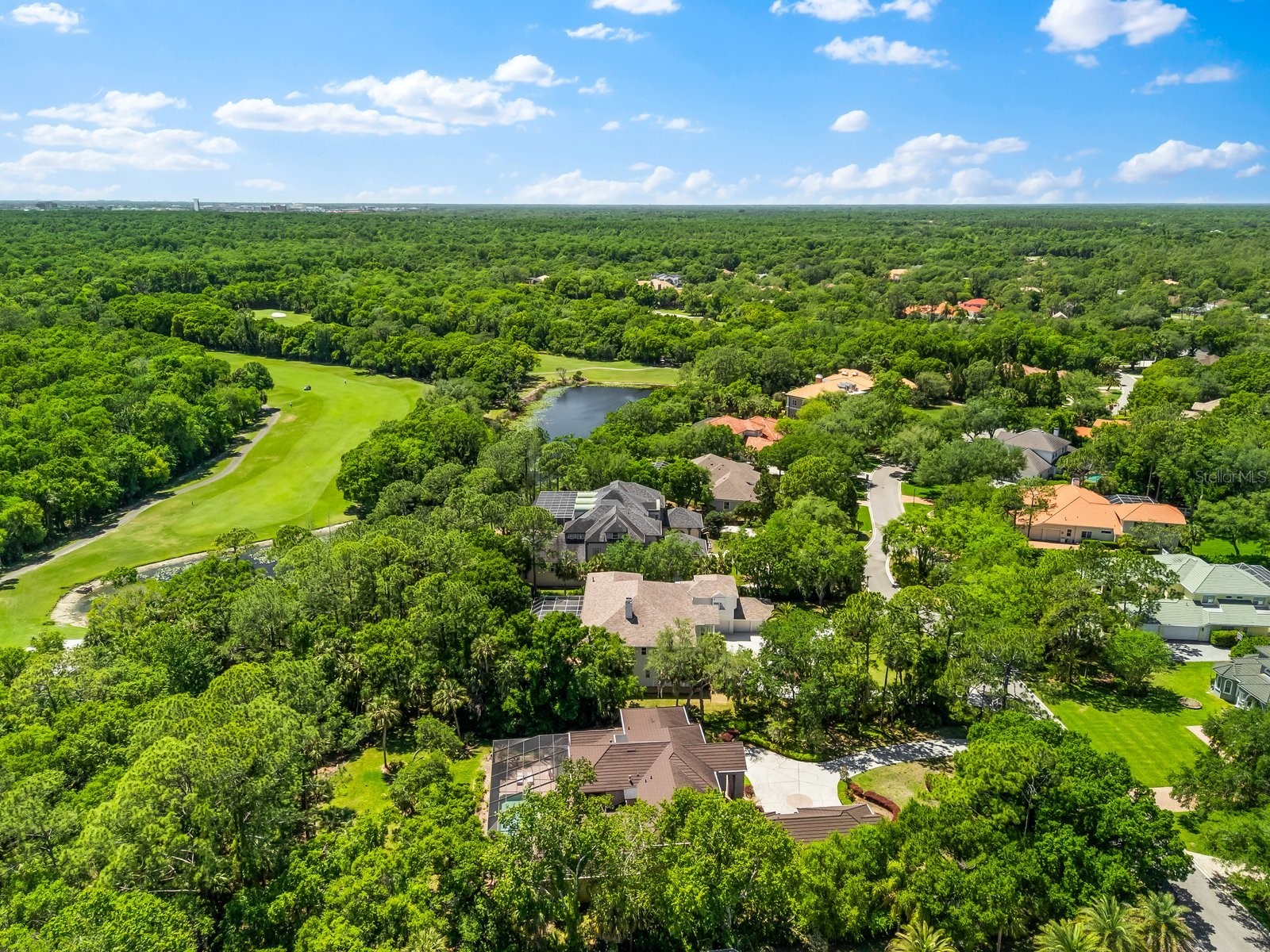 6413 Maclaurin Drive Tampa FL 33647 TB8481237 image65