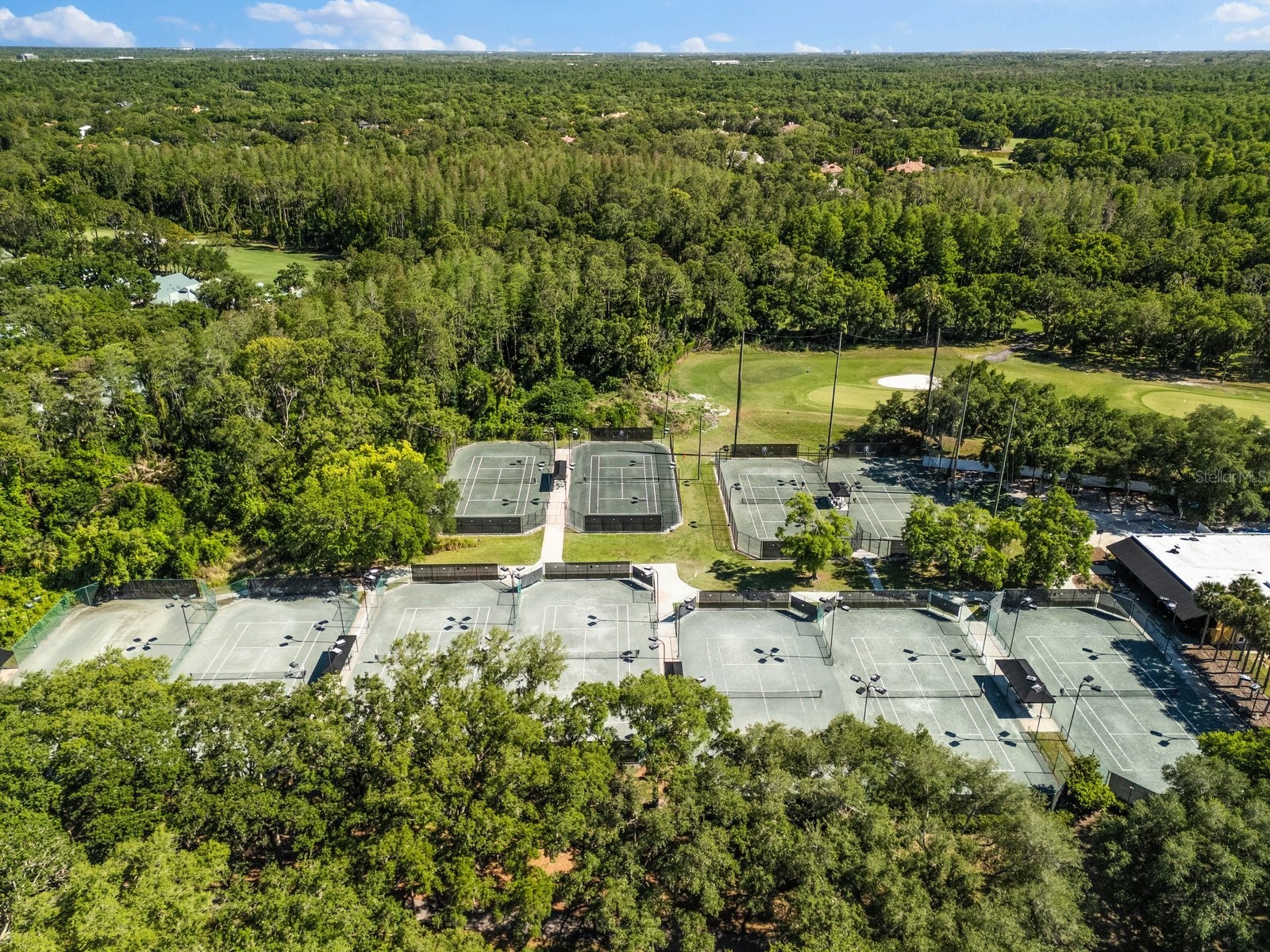 6413 Maclaurin Drive Tampa FL 33647 TB8481237 image74