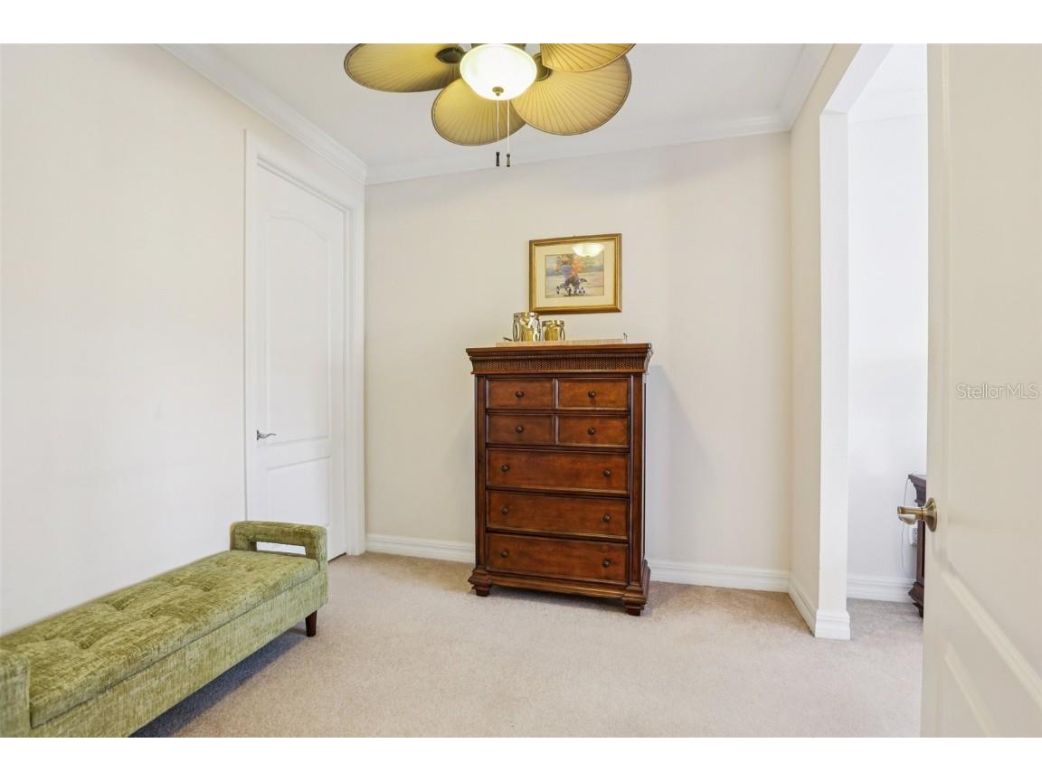 6413 Mayra Shores Lane Apollo Beach FL 33572 TB8413997 image34