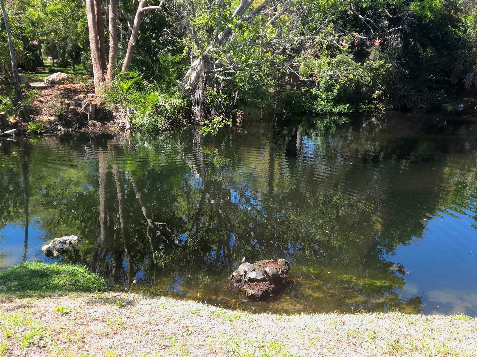 6413 Meadowlark Ln Bradenton FL 34210 A4686918 image22