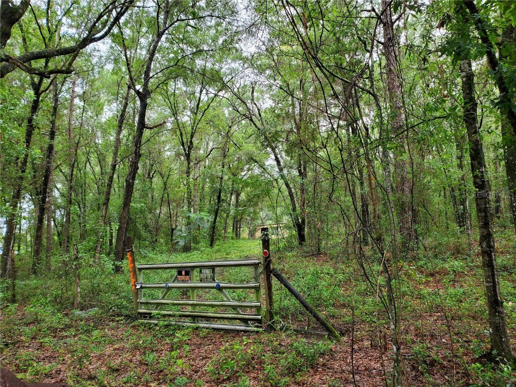 6413 Sunnyside Ranch Road Brooksville FL 34602 W7836444 image1