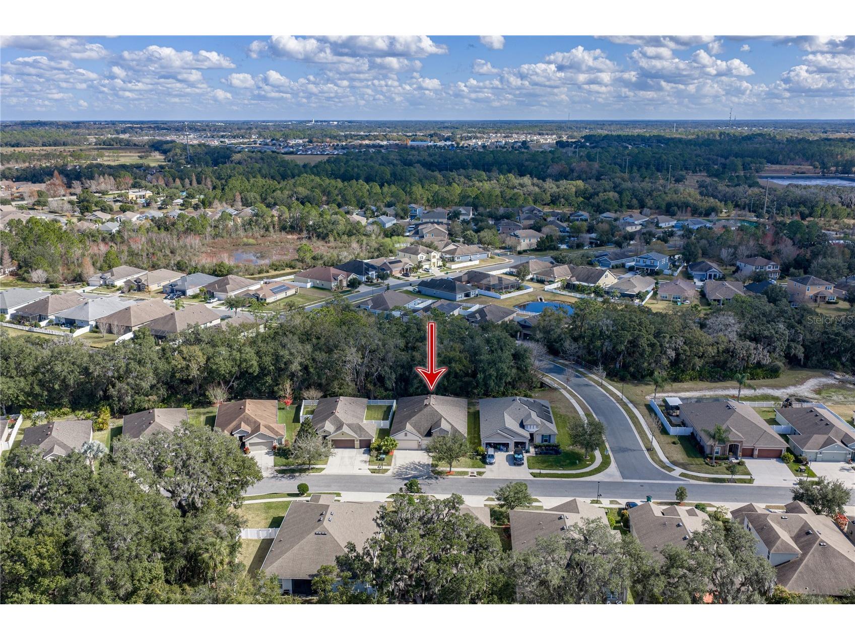 6414 Doe Path Court Wesley Chapel FL 33545 TB8468908 image2