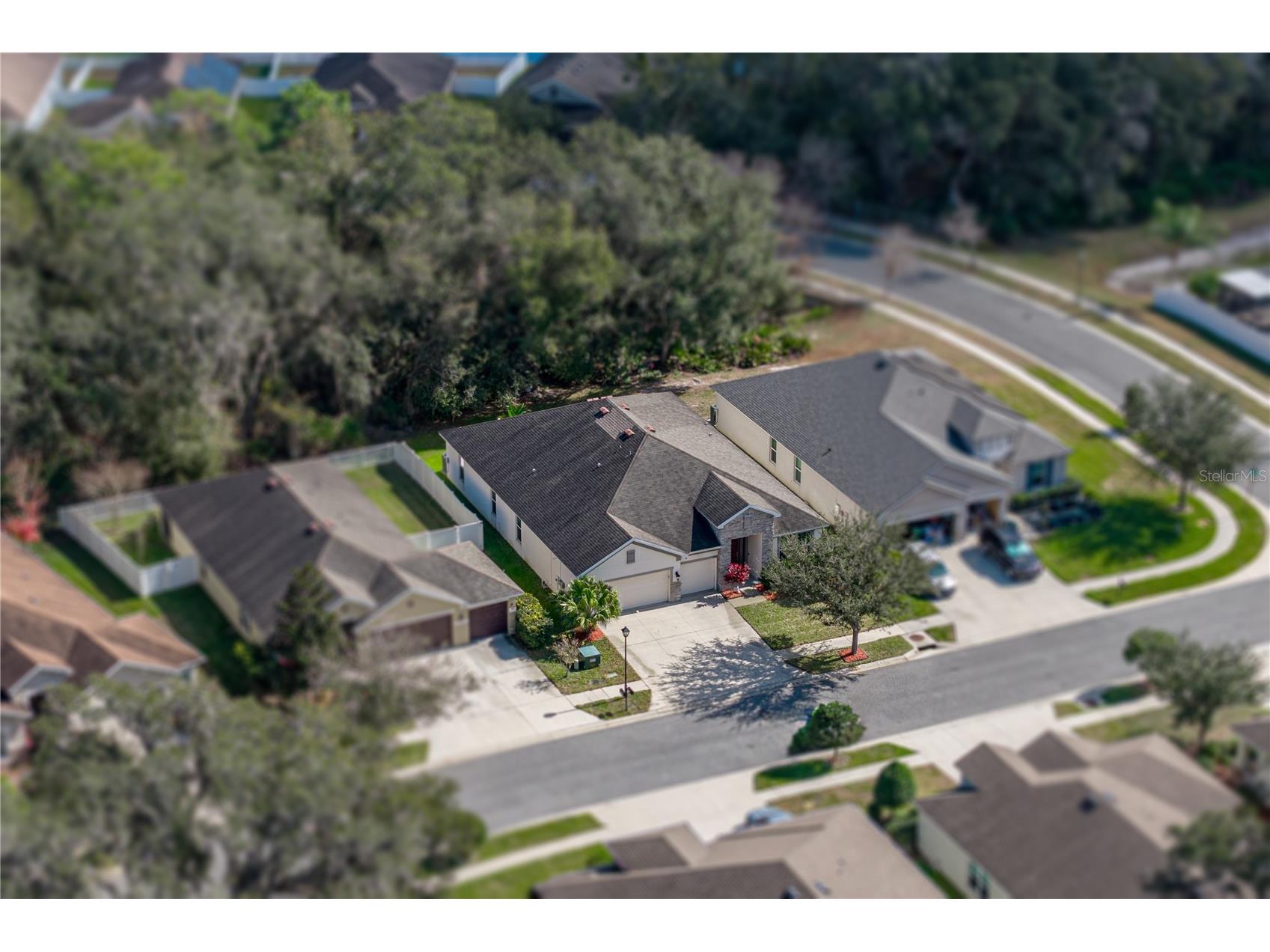 6414 Doe Path Court Wesley Chapel FL 33545 TB8468908 image4