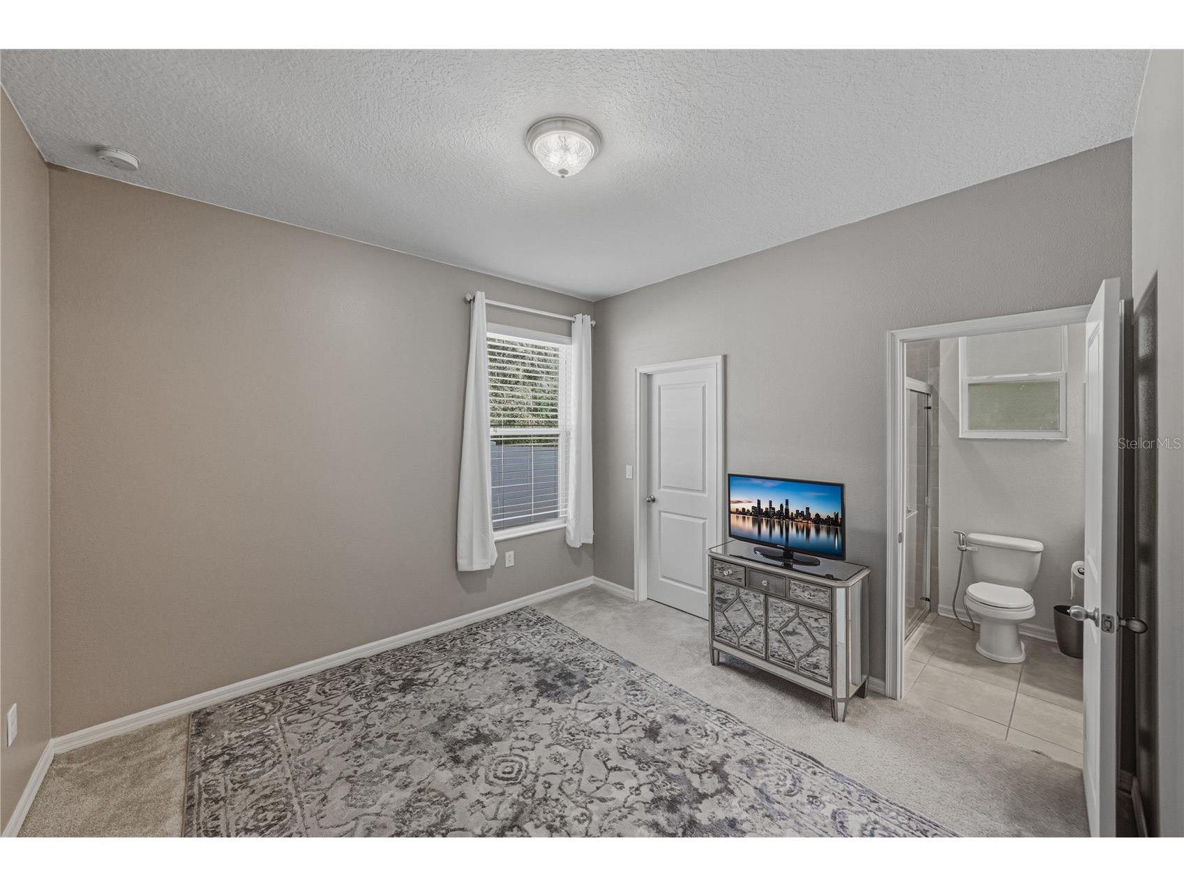 6414 Doe Path Court Wesley Chapel FL 33545 TB8468908 image45