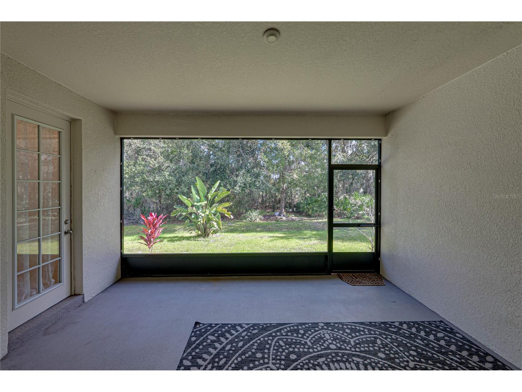 6414 Doe Path Court Wesley Chapel FL 33545 TB8468908 image56