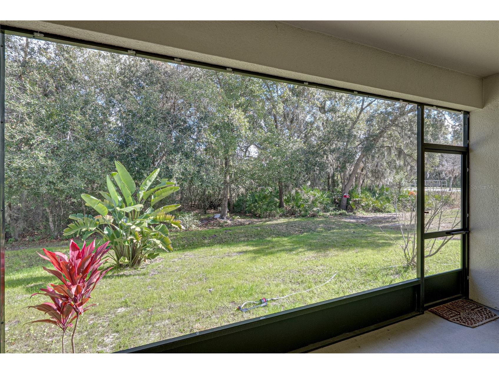 6414 Doe Path Court Wesley Chapel FL 33545 TB8468908 image60