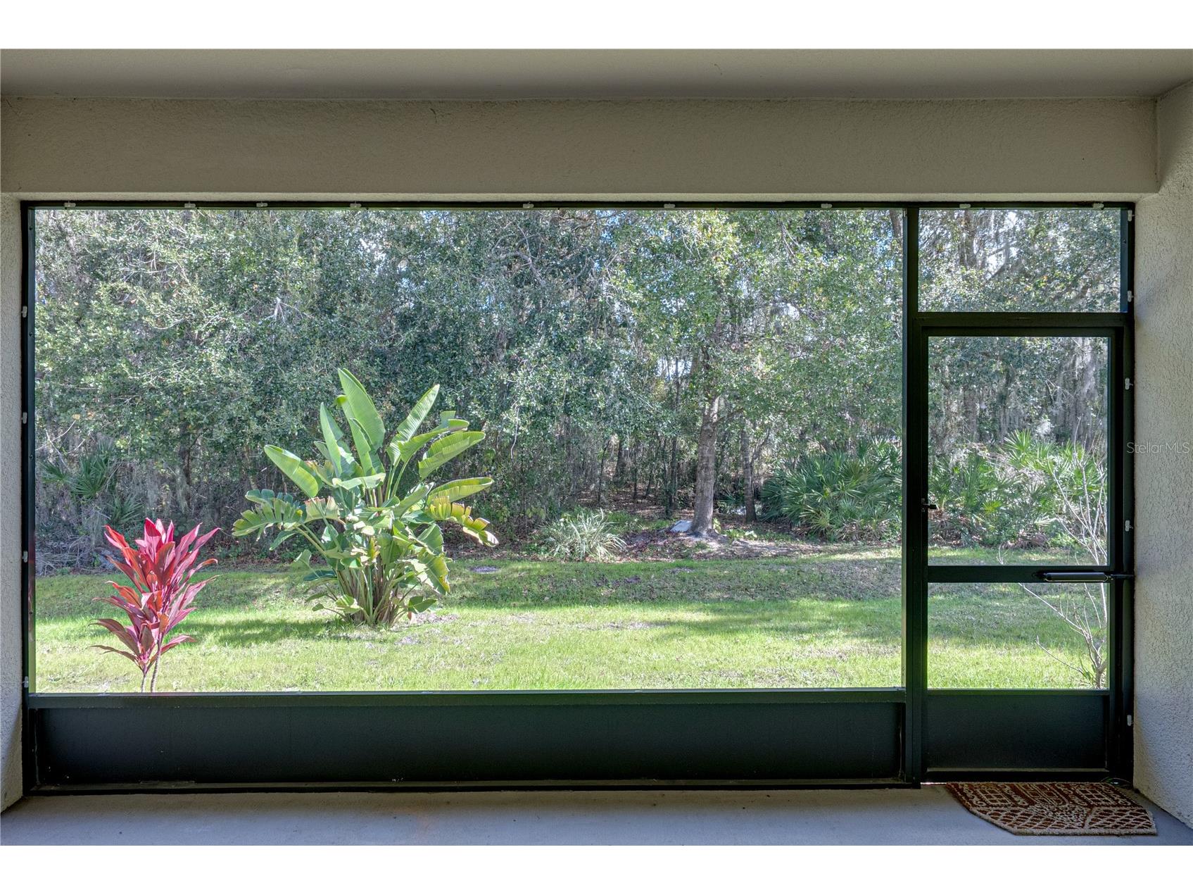 6414 Doe Path Court Wesley Chapel FL 33545 TB8468908 image61