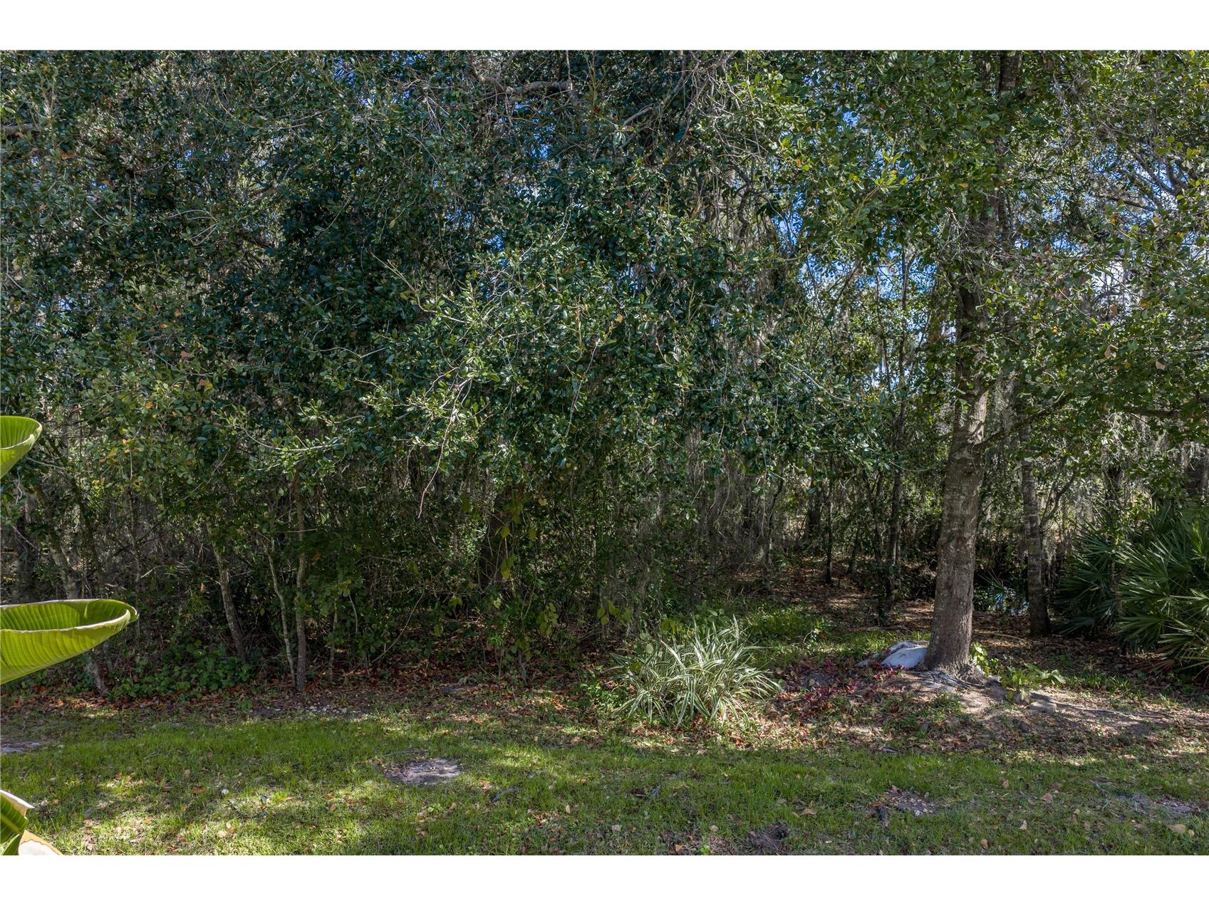 6414 Doe Path Court Wesley Chapel FL 33545 TB8468908 image63