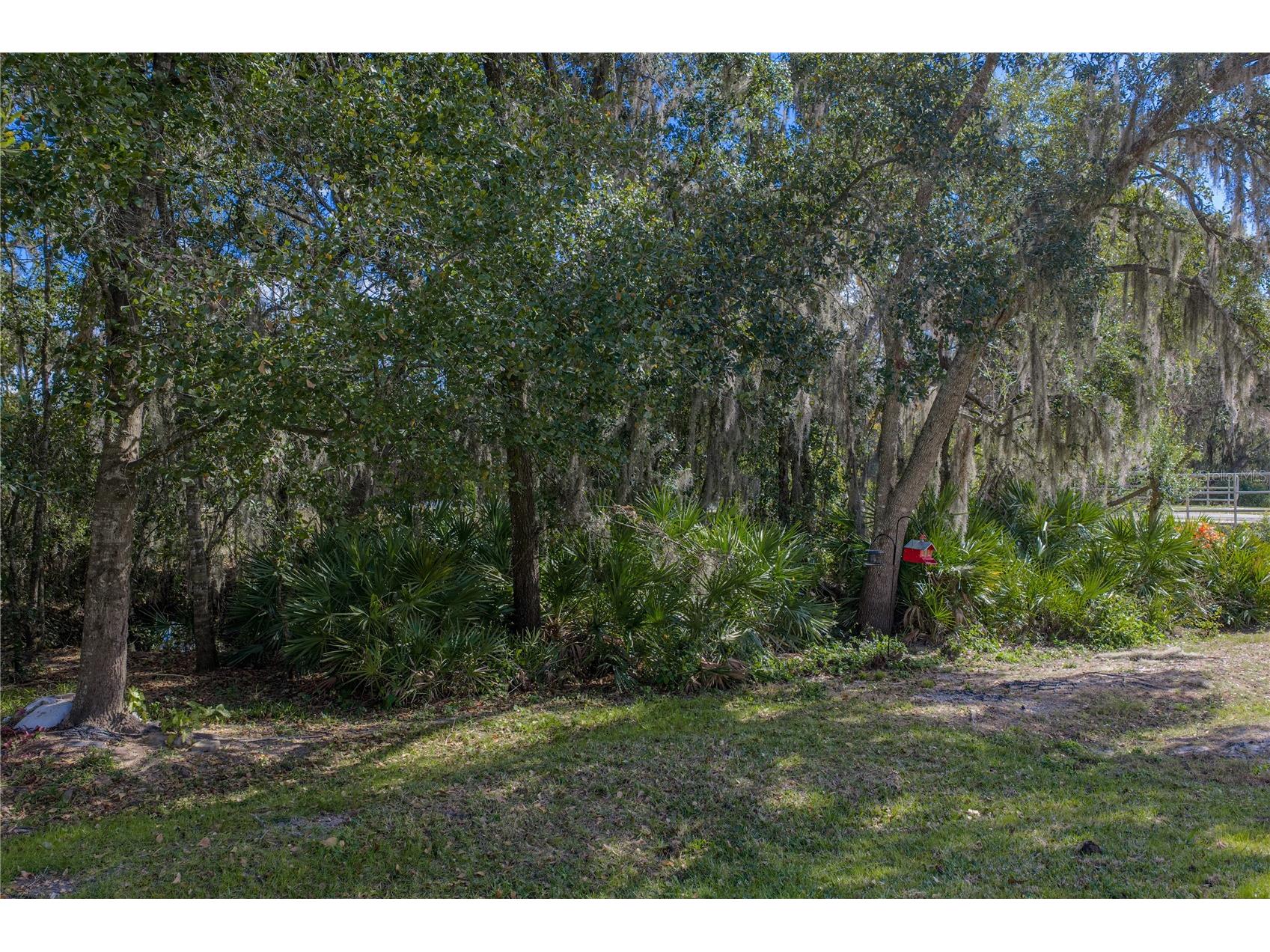 6414 Doe Path Court Wesley Chapel FL 33545 TB8468908 image64