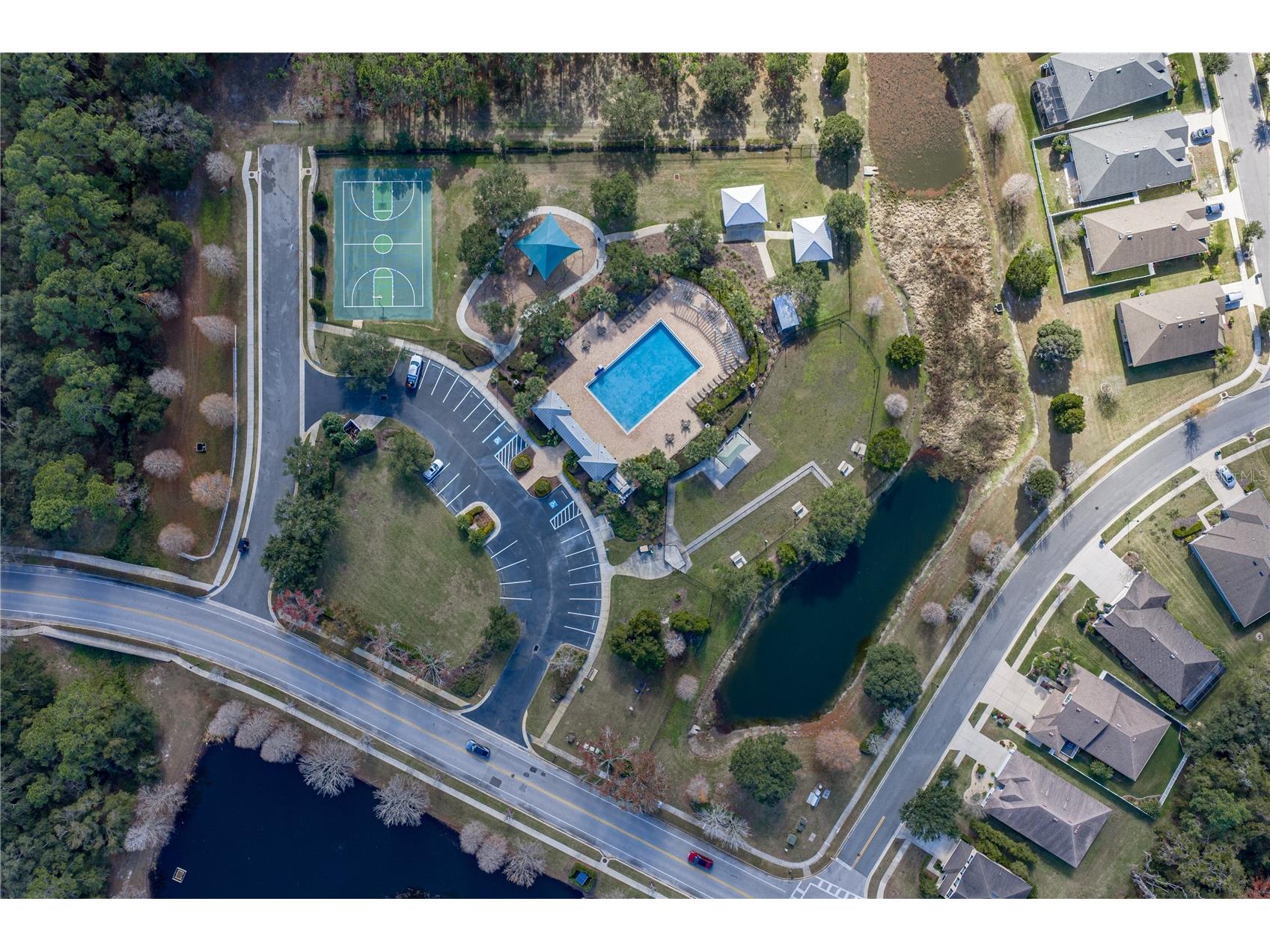 6414 Doe Path Court Wesley Chapel FL 33545 TB8468908 image69