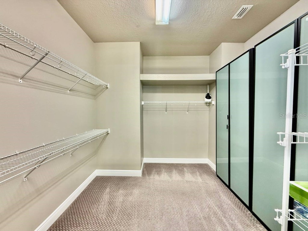 6414 Salt Creek Avenue Apollo Beach FL 33572 TB8443555 image24