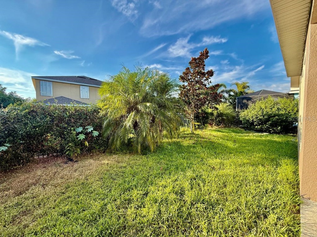 6414 Salt Creek Avenue Apollo Beach FL 33572 TB8443555 image35