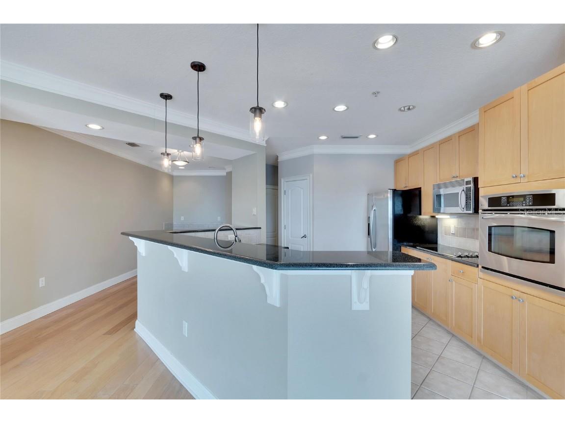 6414 Sunset Bay Circle Apollo Beach FL 33572 TB8441259 image19