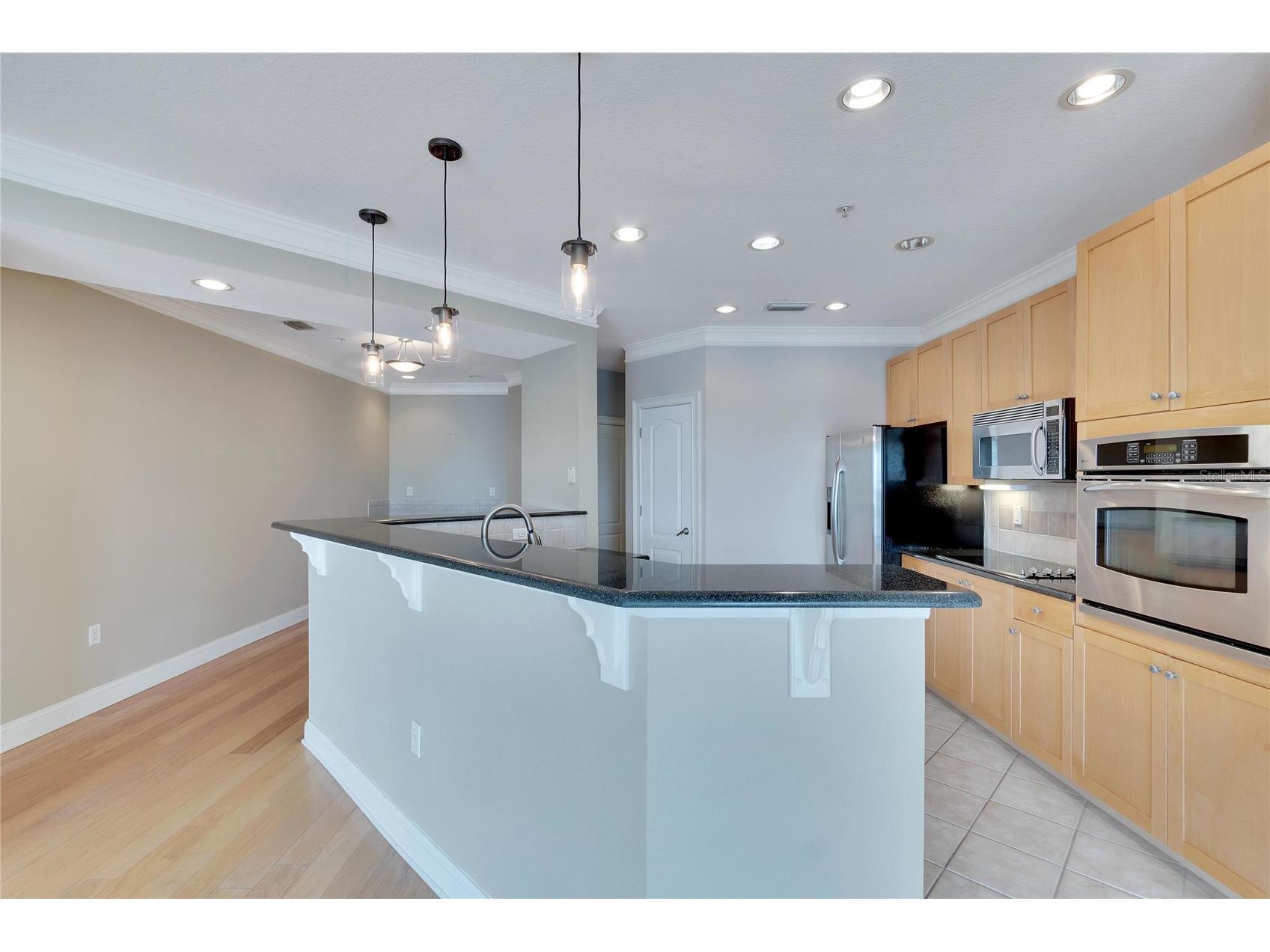 6414 Sunset Bay Circle Apollo Beach FL 33572 TB8490674 image10