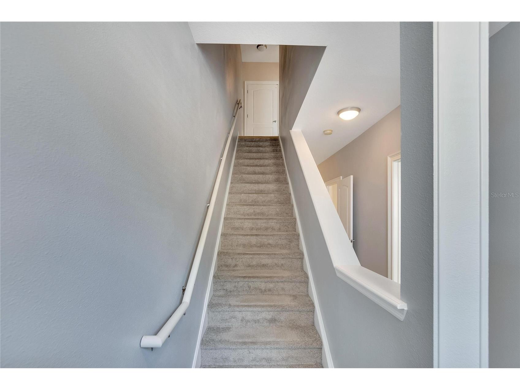 6414 Sunset Bay Circle Apollo Beach FL 33572 TB8490674 image18