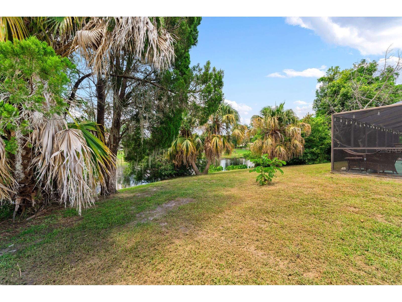 6415 Monterey Boulevard Tampa FL 33625 TB8517590 image9