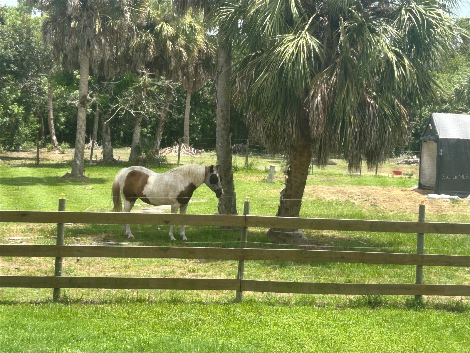6416 18th Avenue E Bradenton FL 34208 TB8527250 image26