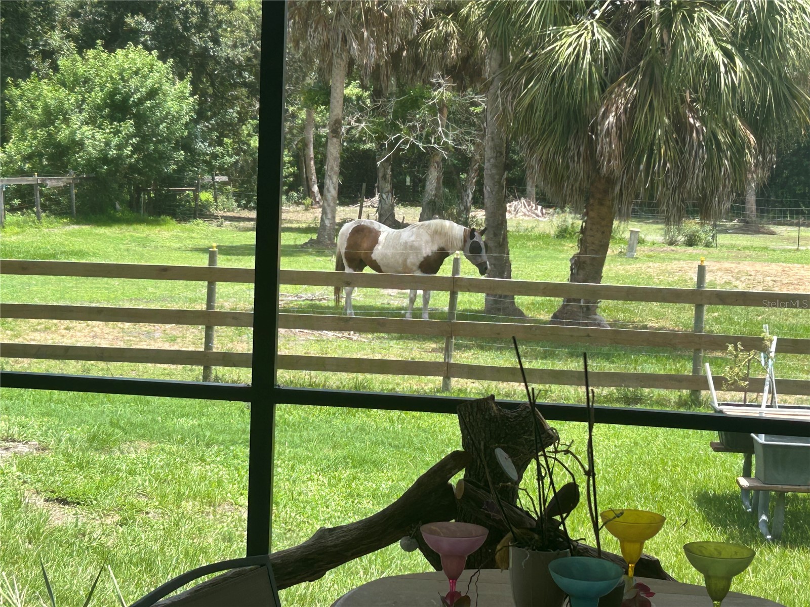 6416 18th Avenue E Bradenton FL 34208 TB8527250 image28