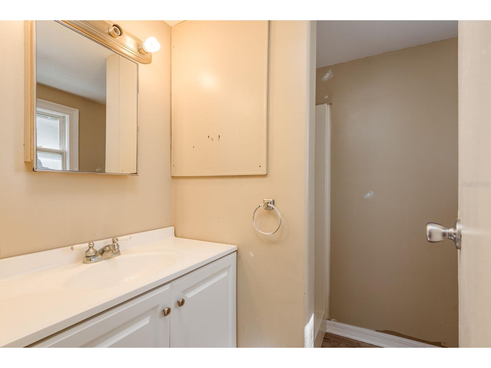 6416 Candlewood Drive Wesley Chapel FL 33544 TB8475093 image24