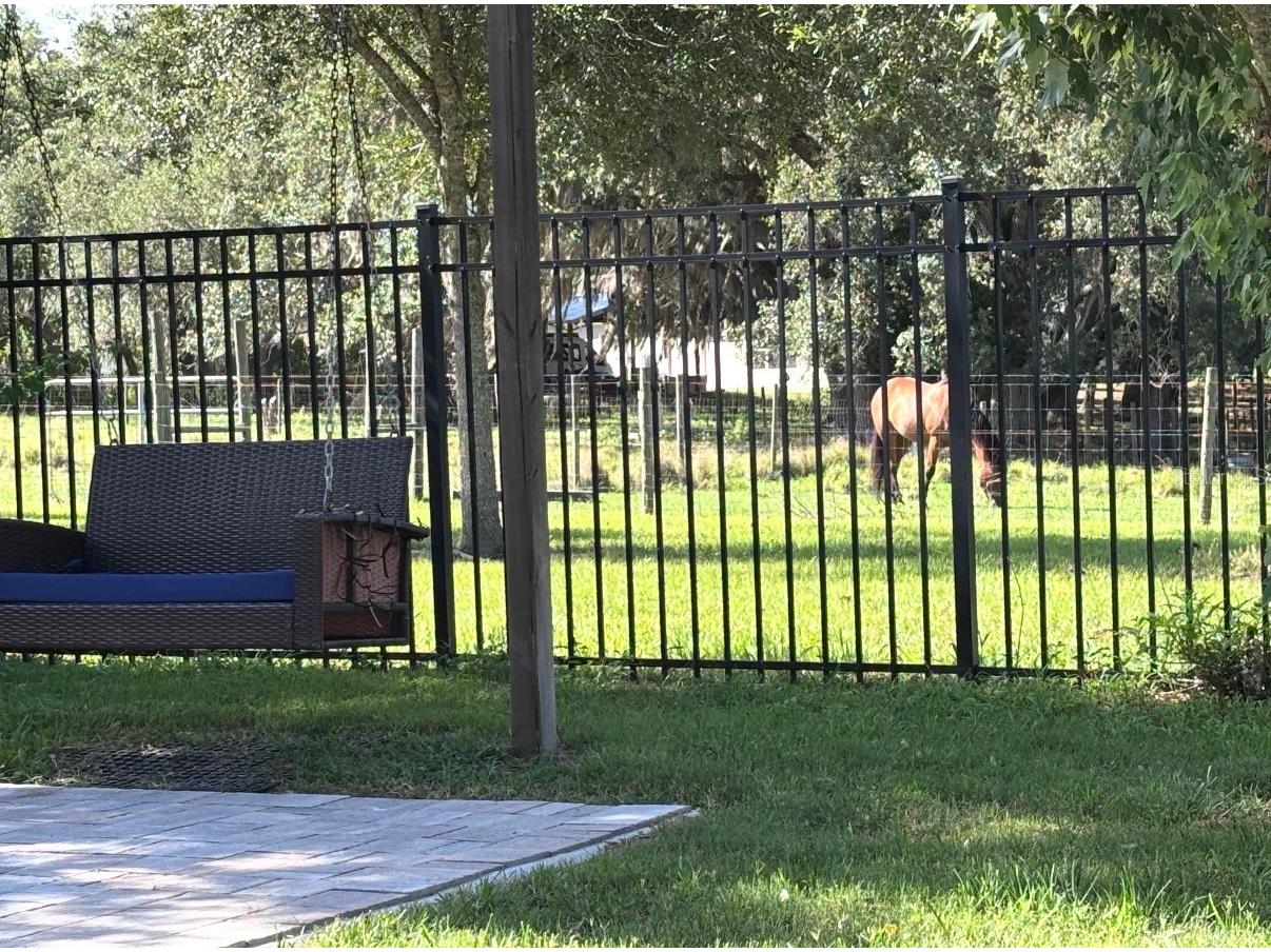 6416 Domenico Court Groveland FL 34736 G5112919 image68