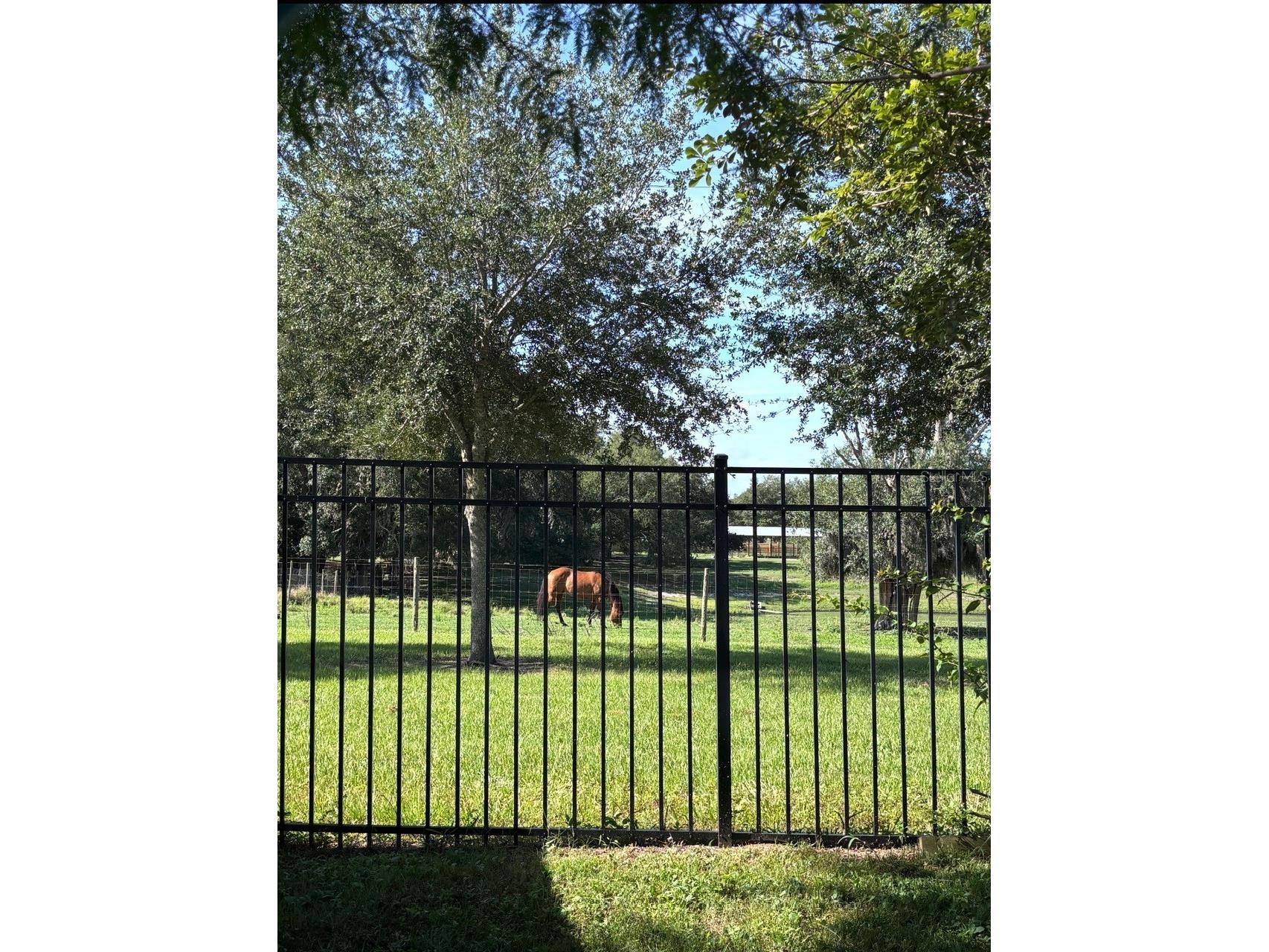 6416 Domenico Court Groveland FL 34736 G5112919 image70